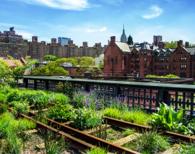 Blick auf New York vom Community Garten