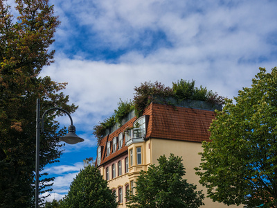 Haus mit Dachgarten im Gruenen