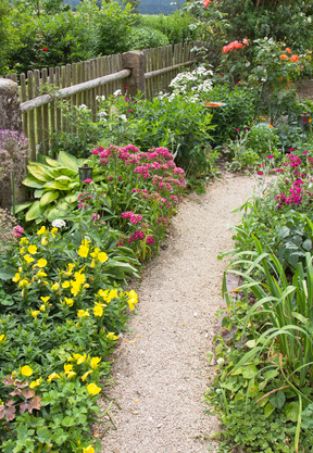 Blumen am Rand eines Gartenweges