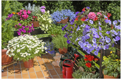 Kleiner Balkon mit Sommerblumen