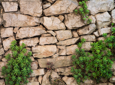 bepflanzte Natursteinmauer