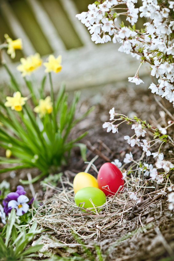 Osternest mit Deko-Eiern