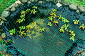 Gartenteich mit Sicherheitsnetz