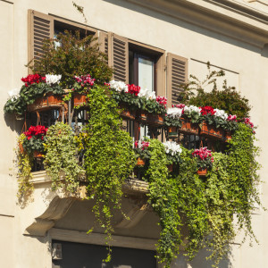 Balkonverkleidung mit Blumen