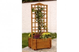 Sichtschutz im Garten – Zaun oder Hecke?