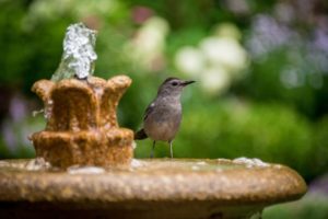 Gartenbrunnen