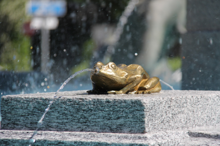 Granitbrunnen mit Mächenfrosch