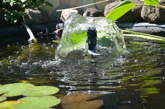 Gartenteich