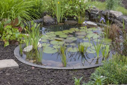 Gartenteich fürs Zuhause Welche Form ist am besten?
