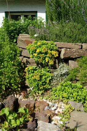 Üppig bepflanzte Natursteinmauer Üppig bepflanzte Trockenmauer