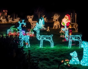 Effektvolle Gartenbeleuchtung zu Weihnachten