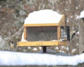 Vogelfutterhaus im Schnee