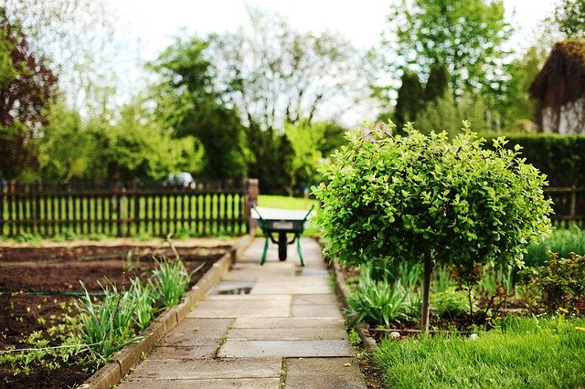 Schmalen Garten gestalten