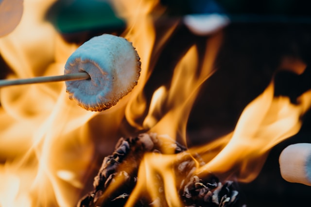 Feuerstelle selber bauen und Marshmallow brutzeln