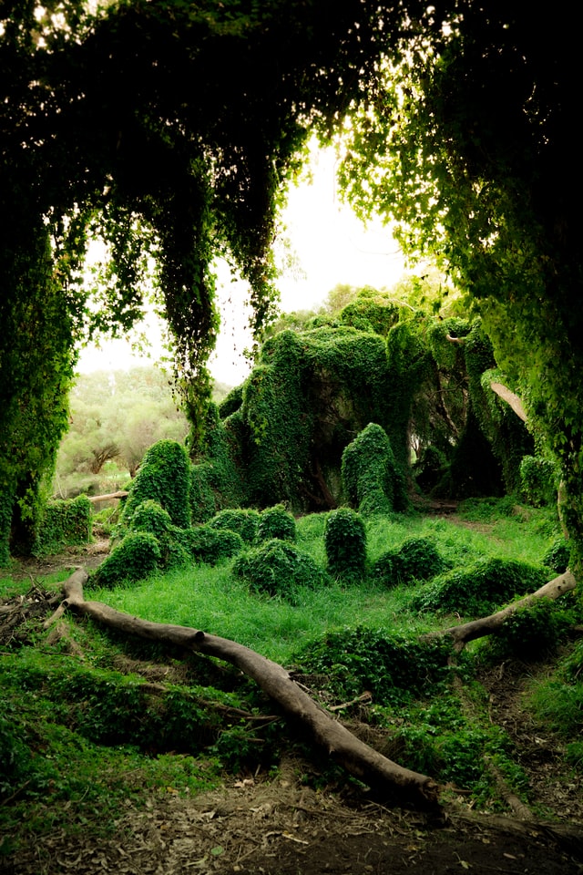 So können Sie einen naturnahen kleinen romantischen Garten auch gestalten.
