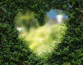 Einen kleinen romantischen Garten gestalten