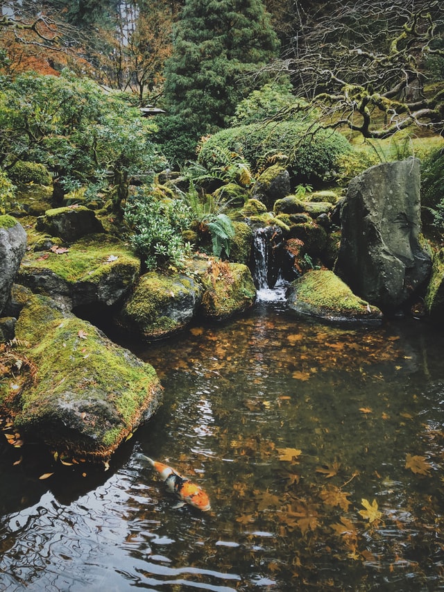 Mit Wasser einen kleinen romantischen Garten gestalten